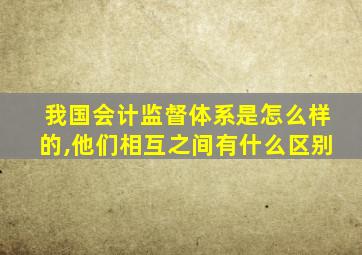 我国会计监督体系是怎么样的,他们相互之间有什么区别