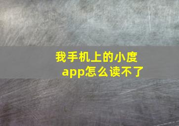 我手机上的小度app怎么读不了