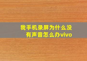 我手机录屏为什么没有声音怎么办vivo