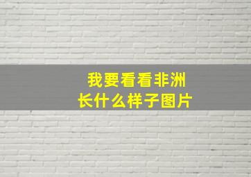 我要看看非洲长什么样子图片