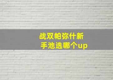 战双帕弥什新手池选哪个up