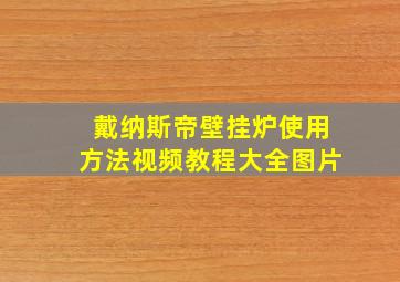 戴纳斯帝壁挂炉使用方法视频教程大全图片