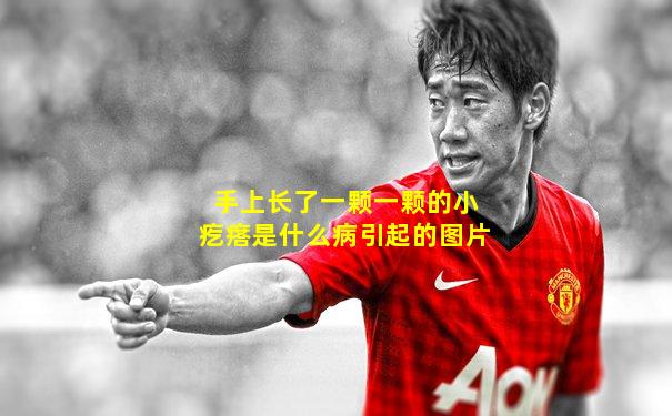 手上长了一颗一颗的小疙瘩是什么病引起的图片