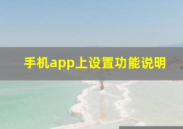 手机app上设置功能说明