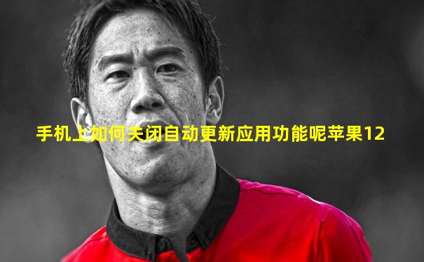 手机上如何关闭自动更新应用功能呢苹果12
