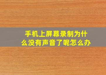 手机上屏幕录制为什么没有声音了呢怎么办