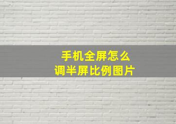 手机全屏怎么调半屏比例图片