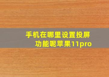 手机在哪里设置投屏功能呢苹果11pro