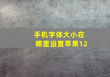 手机字体大小在哪里设置苹果12