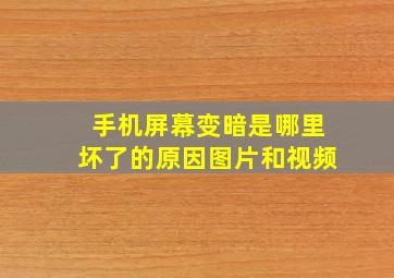 手机屏幕变暗是哪里坏了的原因图片和视频