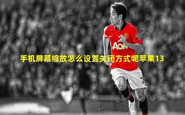 手机屏幕缩放怎么设置关闭方式呢苹果13