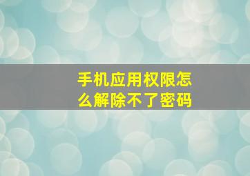 手机应用权限怎么解除不了密码