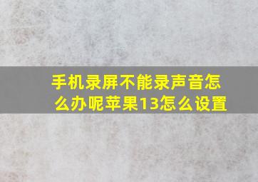 手机录屏不能录声音怎么办呢苹果13怎么设置