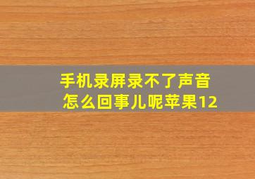 手机录屏录不了声音怎么回事儿呢苹果12