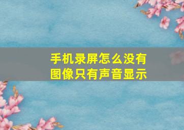 手机录屏怎么没有图像只有声音显示