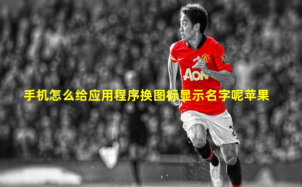 手机怎么给应用程序换图标显示名字呢苹果