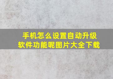 手机怎么设置自动升级软件功能呢图片大全下载