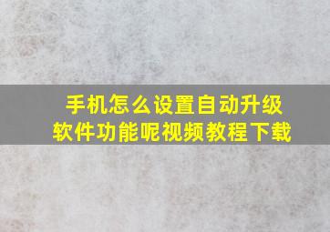 手机怎么设置自动升级软件功能呢视频教程下载