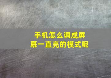 手机怎么调成屏幕一直亮的模式呢