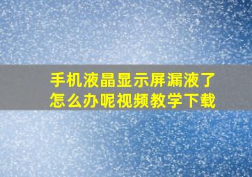 手机液晶显示屏漏液了怎么办呢视频教学下载