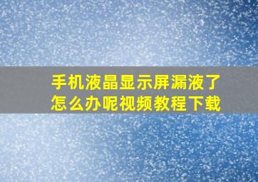 手机液晶显示屏漏液了怎么办呢视频教程下载