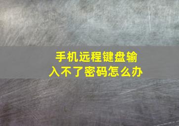 手机远程键盘输入不了密码怎么办