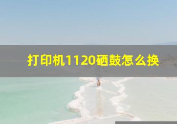 打印机1120硒鼓怎么换