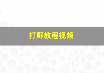 打野教程视频