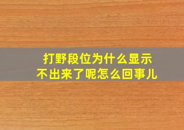 打野段位为什么显示不出来了呢怎么回事儿