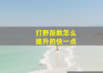 打野段数怎么提升的快一点