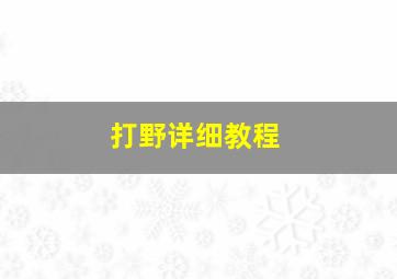 打野详细教程