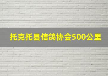 托克托县信鸽协会500公里