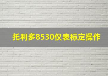 托利多8530仪表标定操作