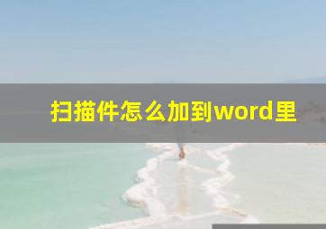 扫描件怎么加到word里