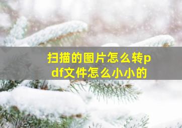 扫描的图片怎么转pdf文件怎么小小的