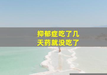 抑郁症吃了几天药就没吃了