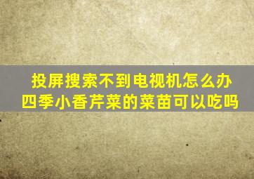 投屏搜索不到电视机怎么办四季小香芹菜的菜苗可以吃吗