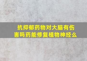 抗抑郁药物对大脑有伤害吗药能修复植物神经么