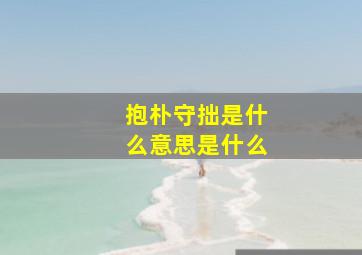 抱朴守拙是什么意思是什么