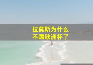 拉莫斯为什么不踢欧洲杯了