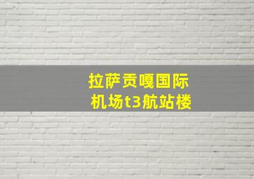 拉萨贡嘎国际机场t3航站楼