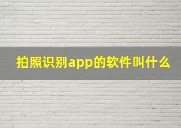 拍照识别app的软件叫什么