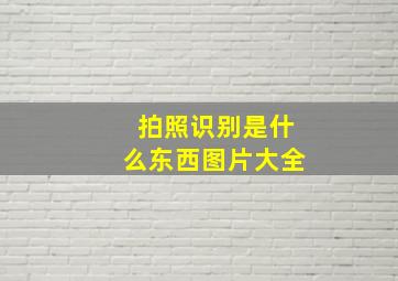 拍照识别是什么东西图片大全