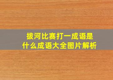 拔河比赛打一成语是什么成语大全图片解析