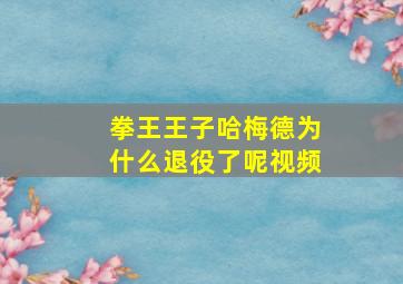 拳王王子哈梅德为什么退役了呢视频