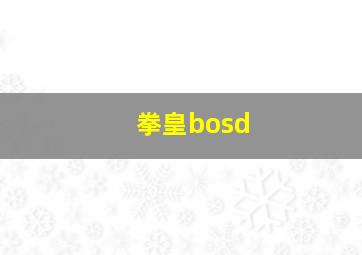 拳皇bosd