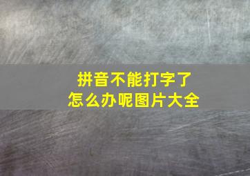 拼音不能打字了怎么办呢图片大全