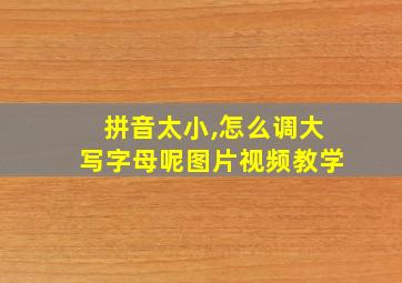 拼音太小,怎么调大写字母呢图片视频教学