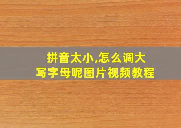 拼音太小,怎么调大写字母呢图片视频教程