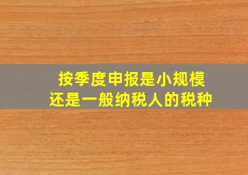 按季度申报是小规模还是一般纳税人的税种